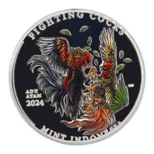 Fighting Cocks - Colorised