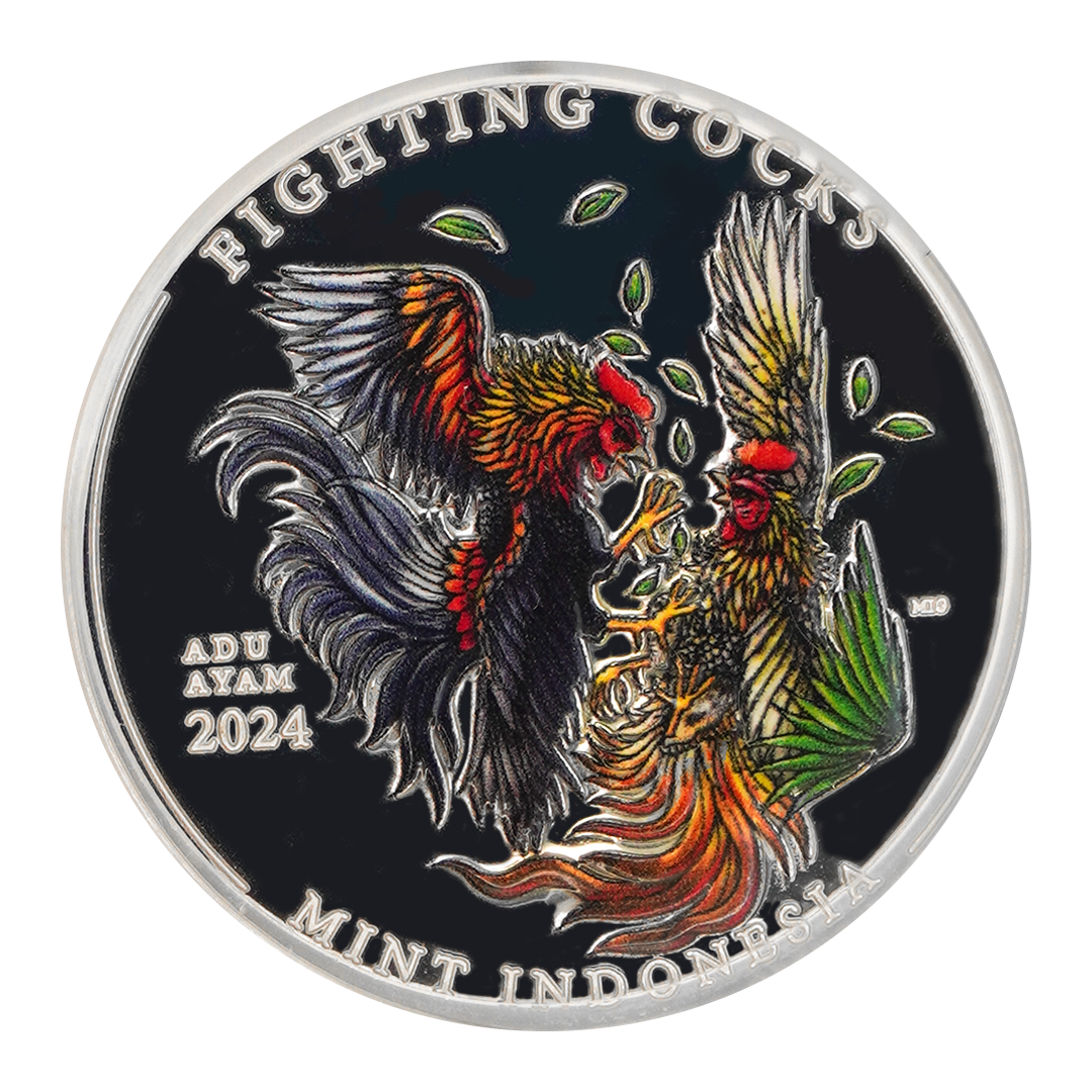 Fighting Cocks - Colorised
