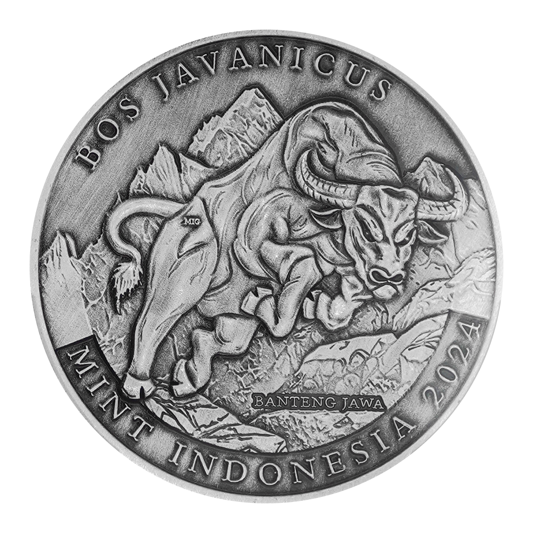 Bos Javanicus - Antique