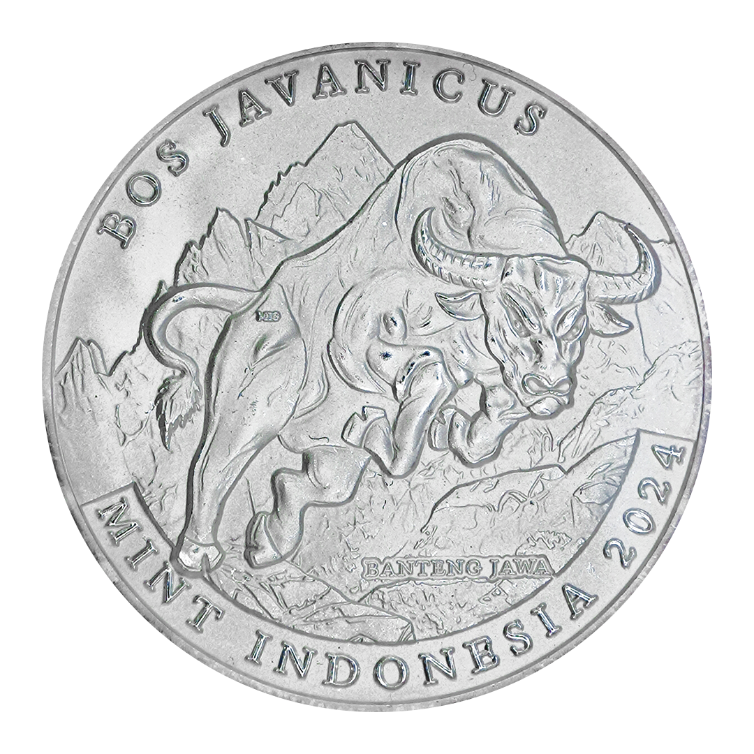 Bos Javanicus - Specimen - Image 3