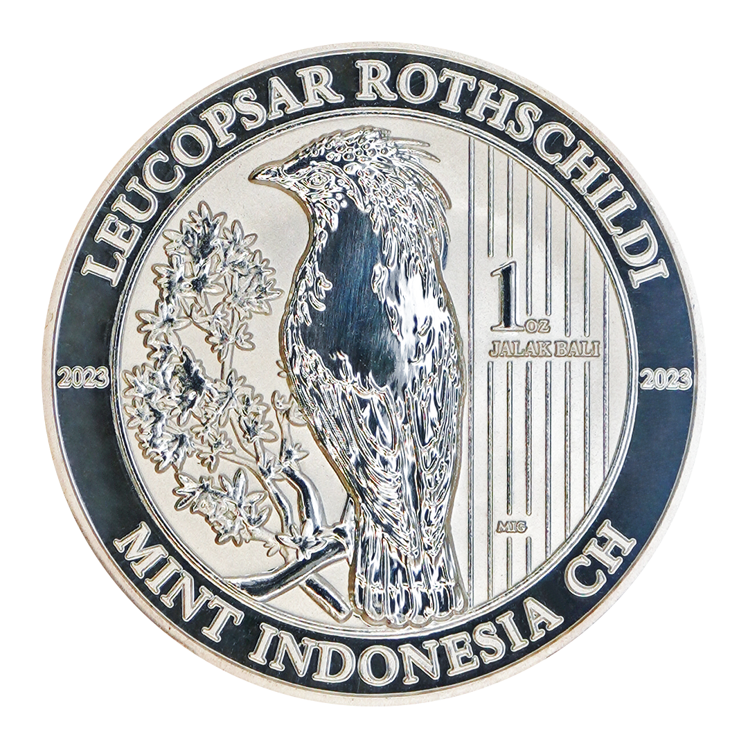Jalak Bali - Silverised