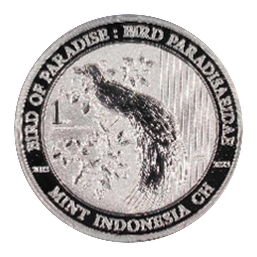 Cendrawasih - Silverised